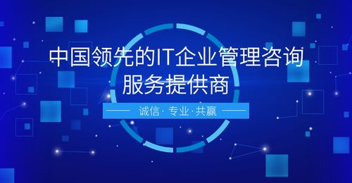 信息系統(tǒng)建設(shè)與服務(wù)體系評估 網(wǎng)絡(luò)融資信息咨詢的核心價(jià)值