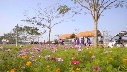 百花爭春！2023廣東省森林文化周春季活動正式啟動