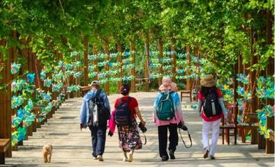 山泉覓清涼，隱匿在大山深處的最美齊長城百果園休閑觀光活動(dòng)