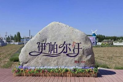 走進中國著名工廠 探索伊利與片仔癀的工業(yè)魅力與休閑觀光