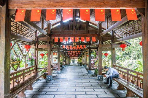 南寧行記 龍門水都的驚喜與桉樹下的悠然時光