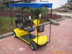 永康市踏雪無(wú)痕休閑用品有限公司 電動(dòng)觀光車(chē)產(chǎn)品系列，助力休閑觀光活動(dòng)新體驗(yàn)